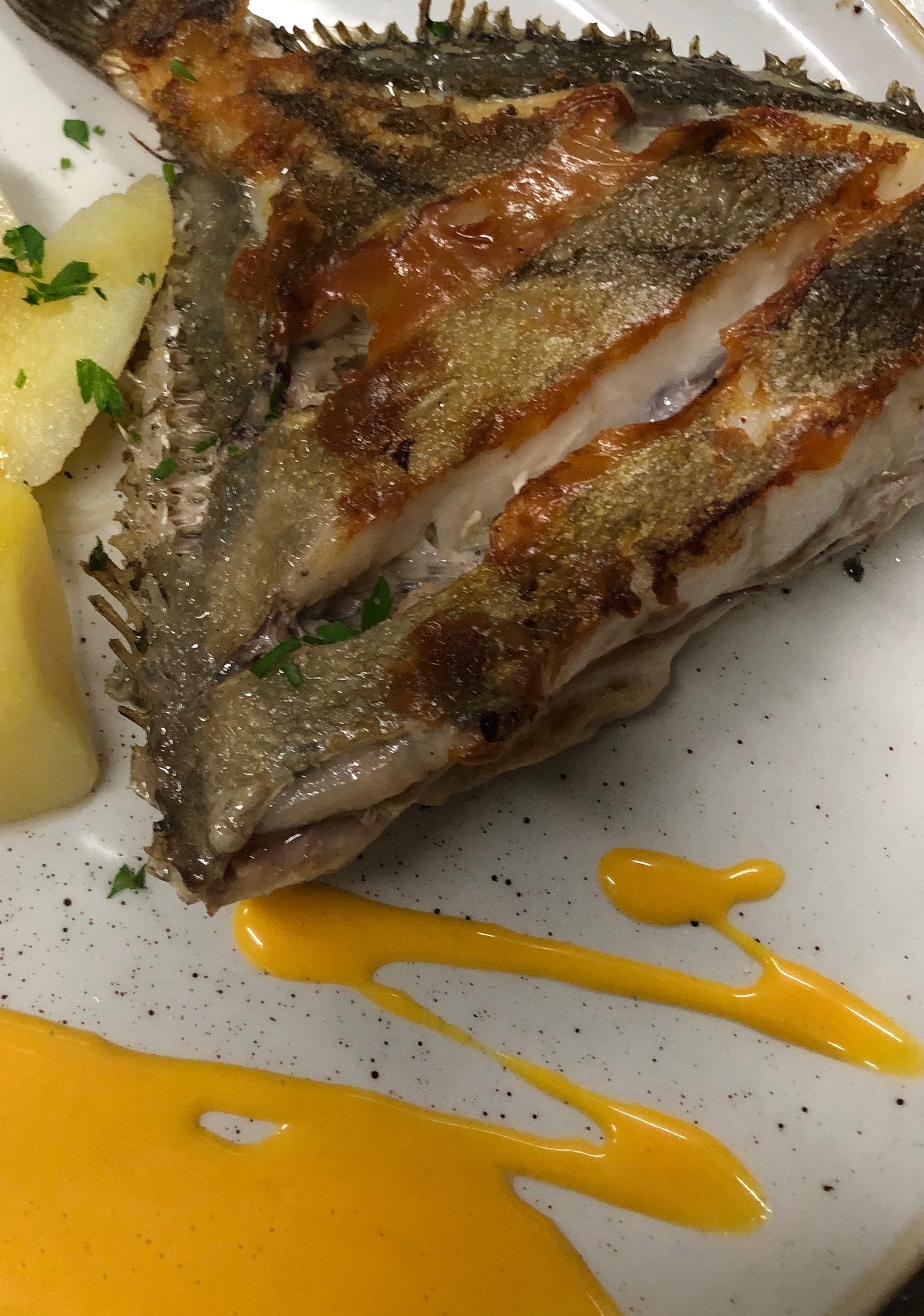Nuestros pescados